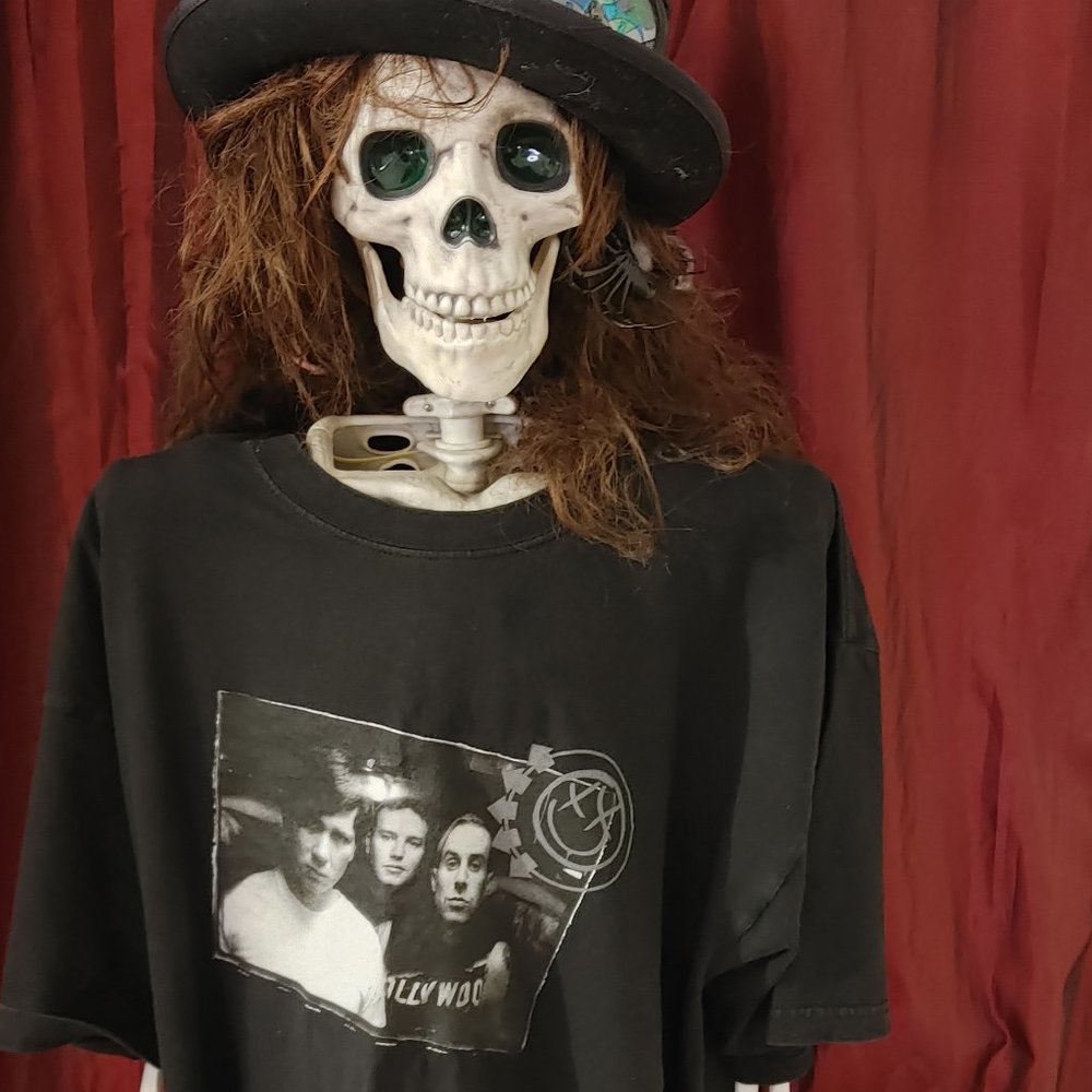 Vintage Blink-182 T- Shirt 2004 Sz XL Black